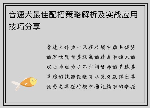 音速犬最佳配招策略解析及实战应用技巧分享