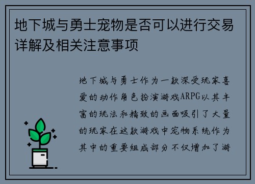 地下城与勇士宠物是否可以进行交易详解及相关注意事项